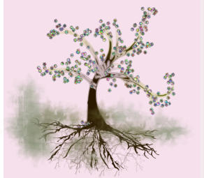 Streptokokkinum Baum 