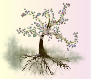 Streptokokkinum Baum 